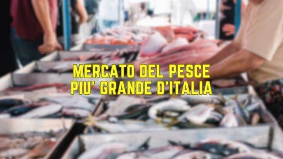 mercato del pesce più grande