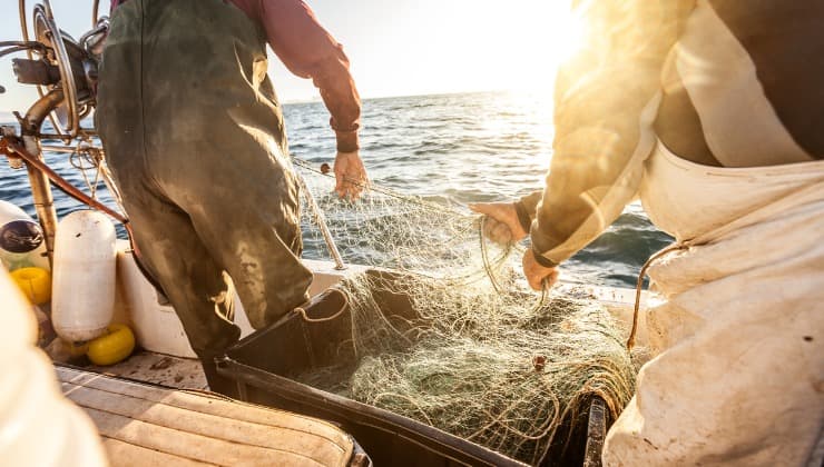 Pesce più amato dai pescatori