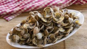 Piatto do piccole vongole o telline