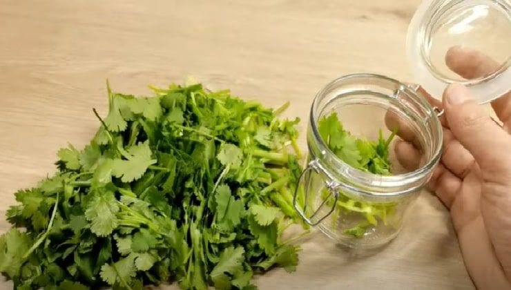 Trucco della nonna per conservare il prezzemolo