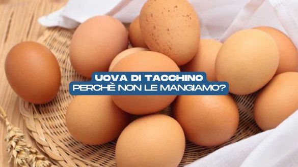 uova di tacchino