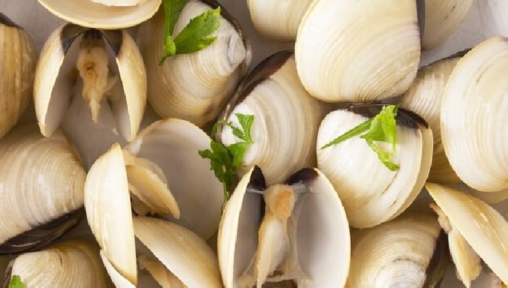 Vongole