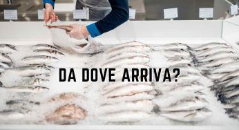 Sapete da dove arriva il pesce dell’Esselunga? Non immaginereste mai la provenienza