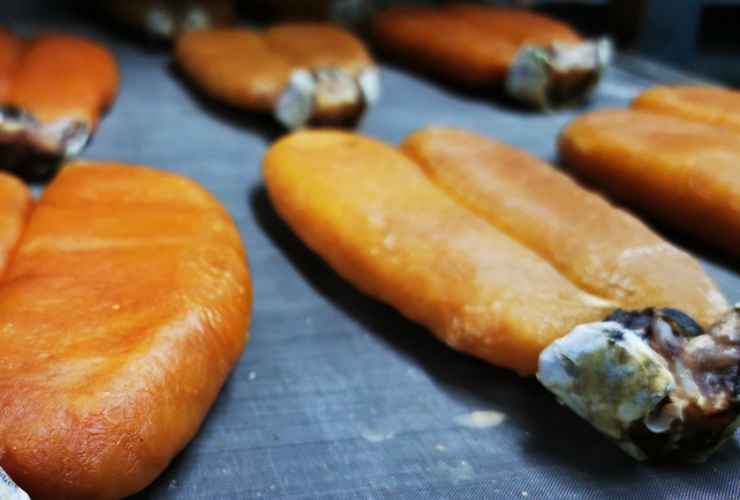 Bottarga di muggine