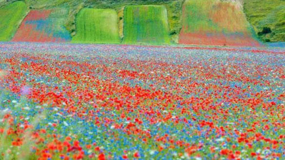 Castelluccio di Norcia