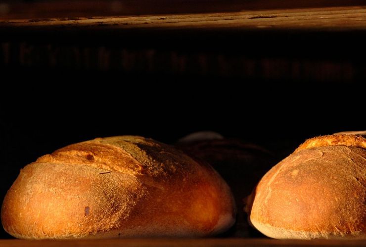 Cottura del pane di Altamura