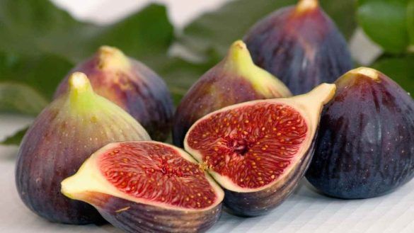 Fichi