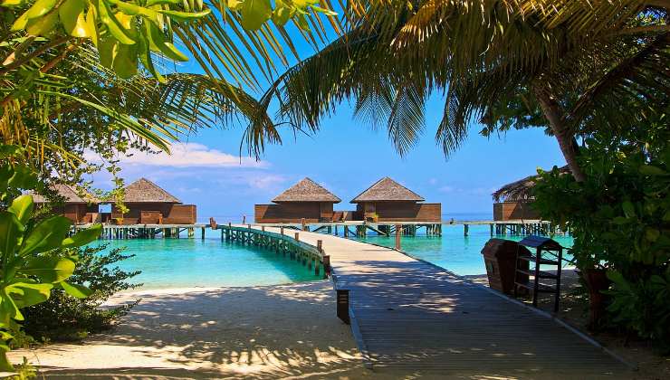 Maldive low cost