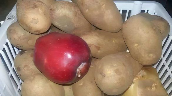 Mela tra le patate