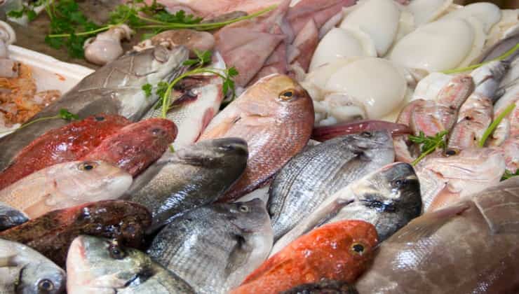Misto di pesce in vendita al mercato