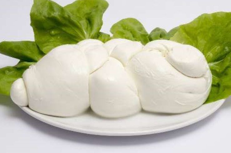 Mozzarella di bufala