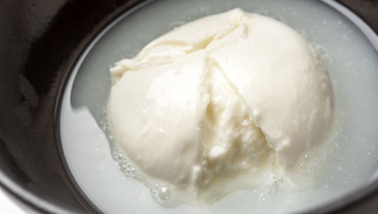 Mozzarella nell'acqua di governo