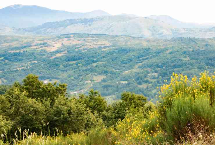 Parco Nazionale del Pollino