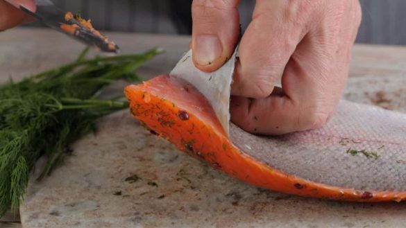 Pelle del pesce