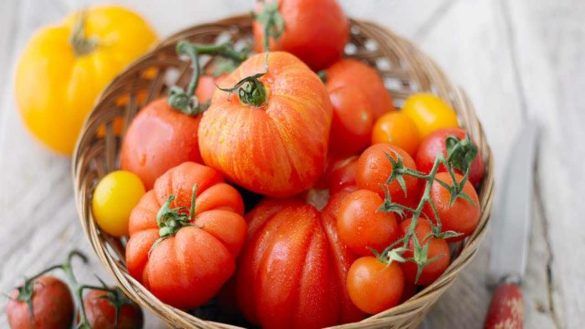 Pomodori nel cesto