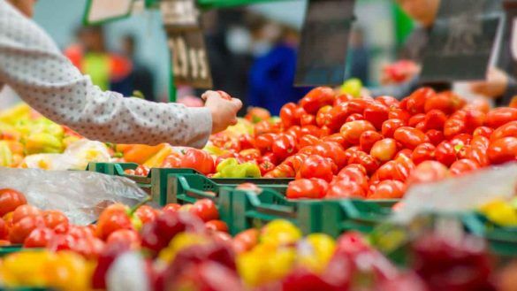 Pomodoro supermercato