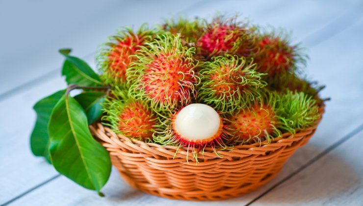 Rambutan caratteristiche