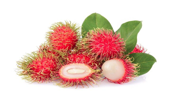 Rambutan proprietà