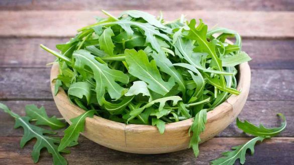 Rucola