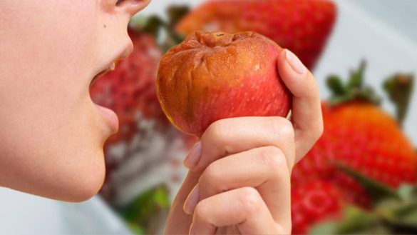 Sapore frutta