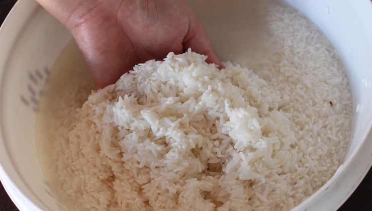 Sciacquare il riso