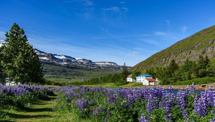 Seyðisfjörður Islanda