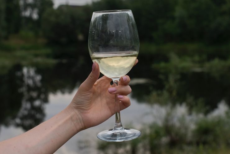 Un calice di vino bianco