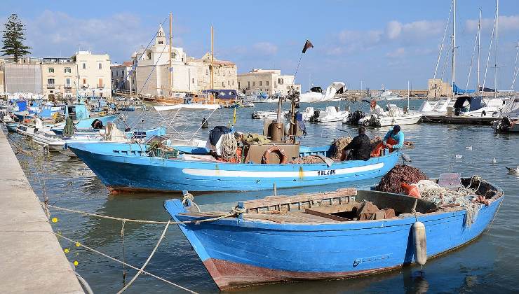 Visitare Trani