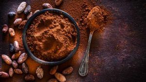 Cacao amaro in polvere con fave di cacao