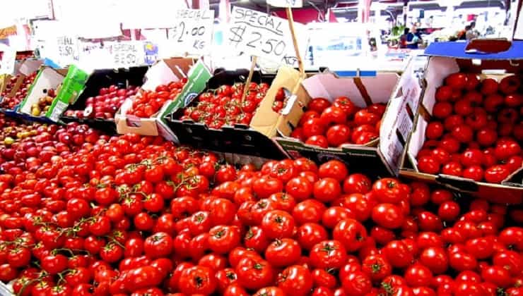 Pomodori sui banchi al mercato