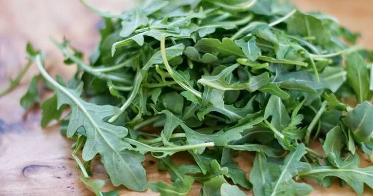 Rucola