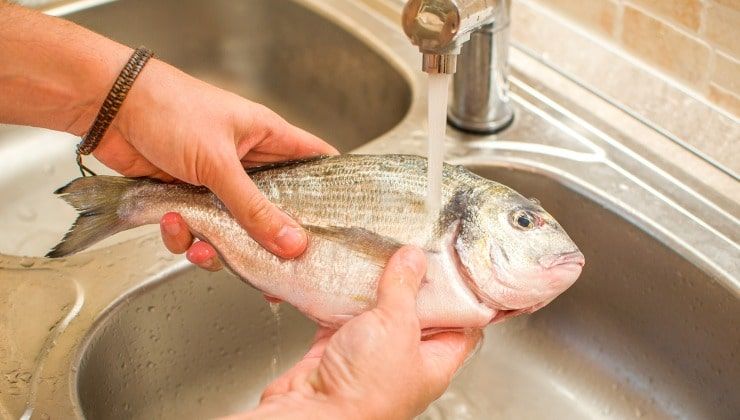 Scongelare il pesce sotto l'acqua corrente