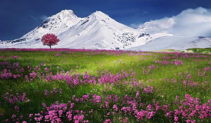 Alpbach Austria