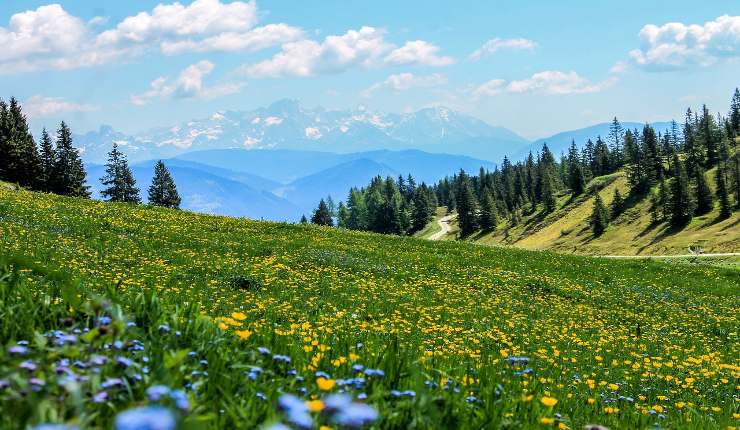 Alpbach