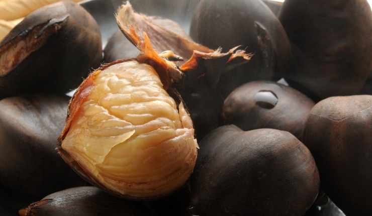 Castagne bollite come cucinarle