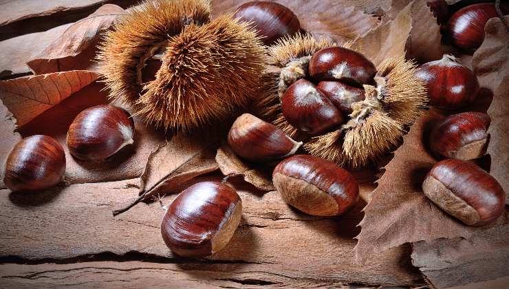 Castagne in Italia dove trovarle