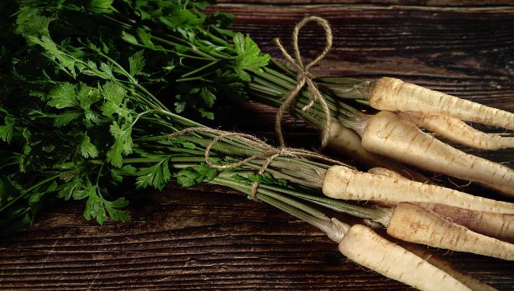 Come si cucina la radice di pastinaca