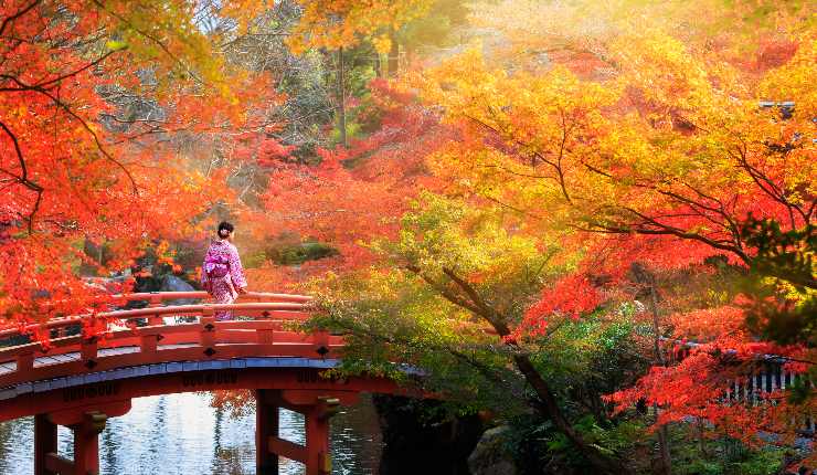 Cosa fare in autunno in Giappone