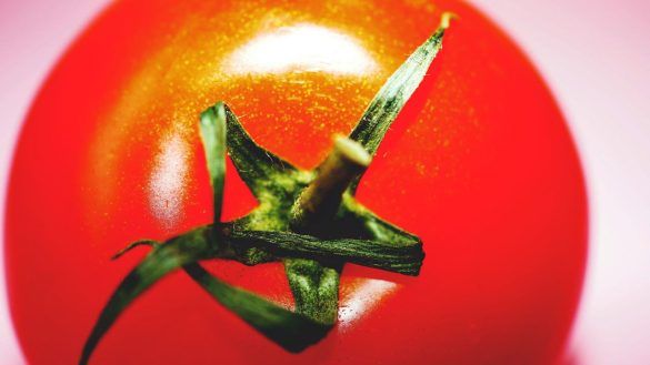 Il pomodoro