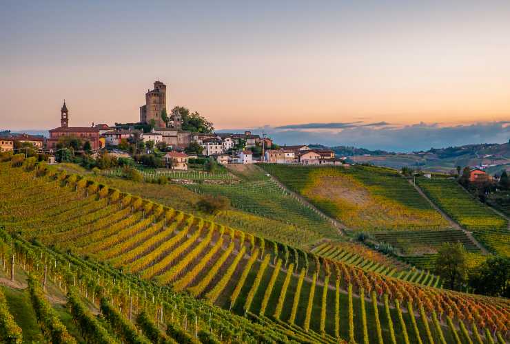 Langhe - Piemonte