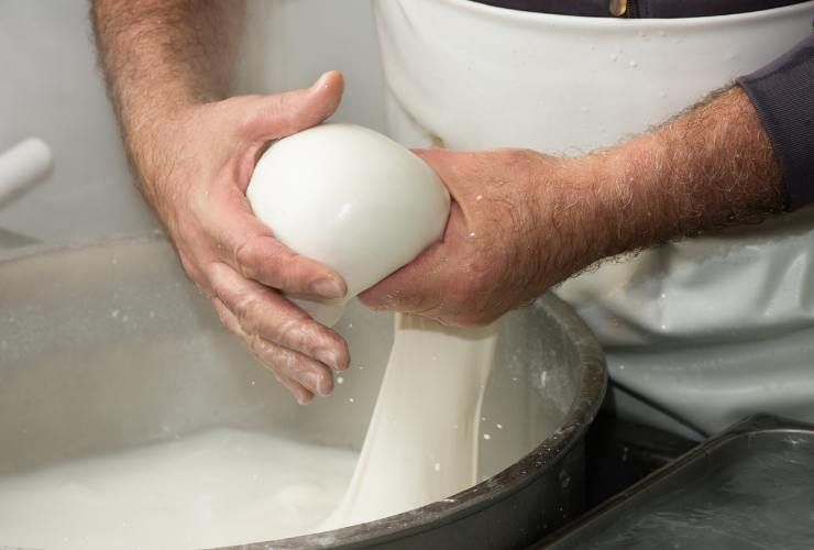 Lavorazione della mozzarella