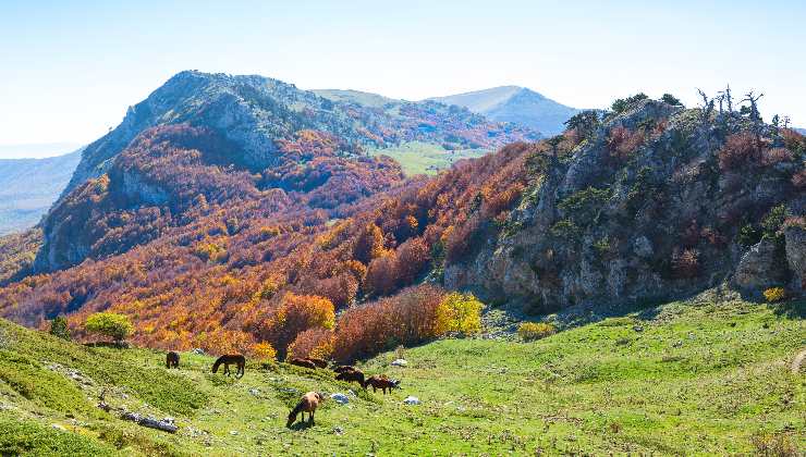 Sentiero del Brigante Calabria