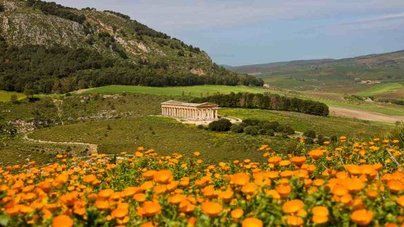 Tempio di Segesta