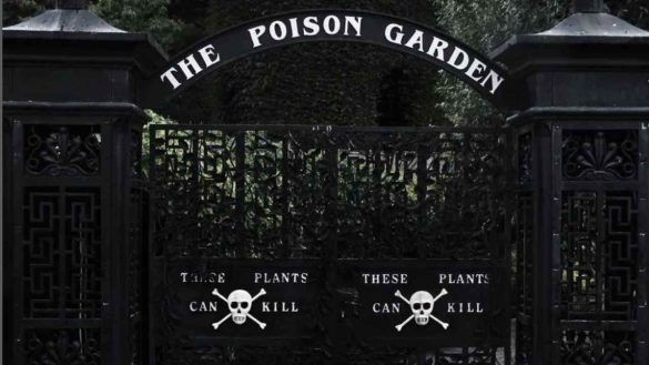 The Poison Garden