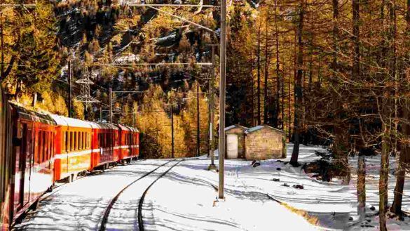 Treno foliage