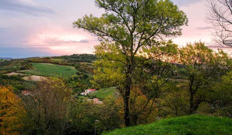 Urbino cosa fare