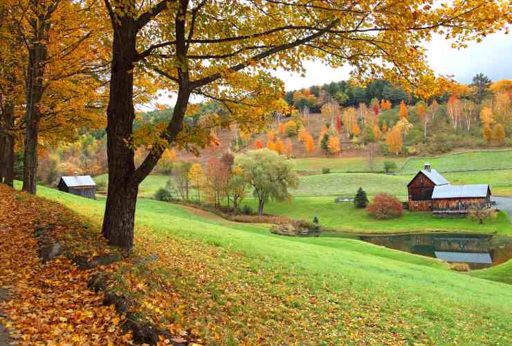 Vermont