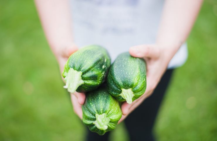 Zucchine