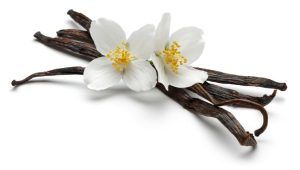 Bastoncini di vaniglia con fiori di gelsomino