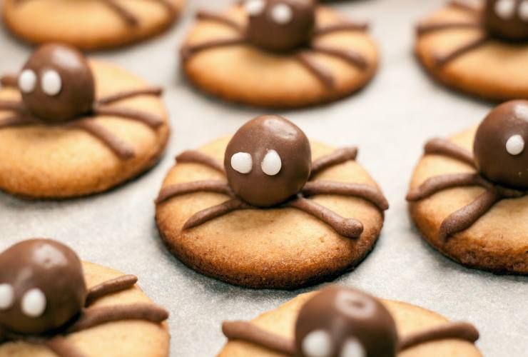 Biscotti con ragnetti